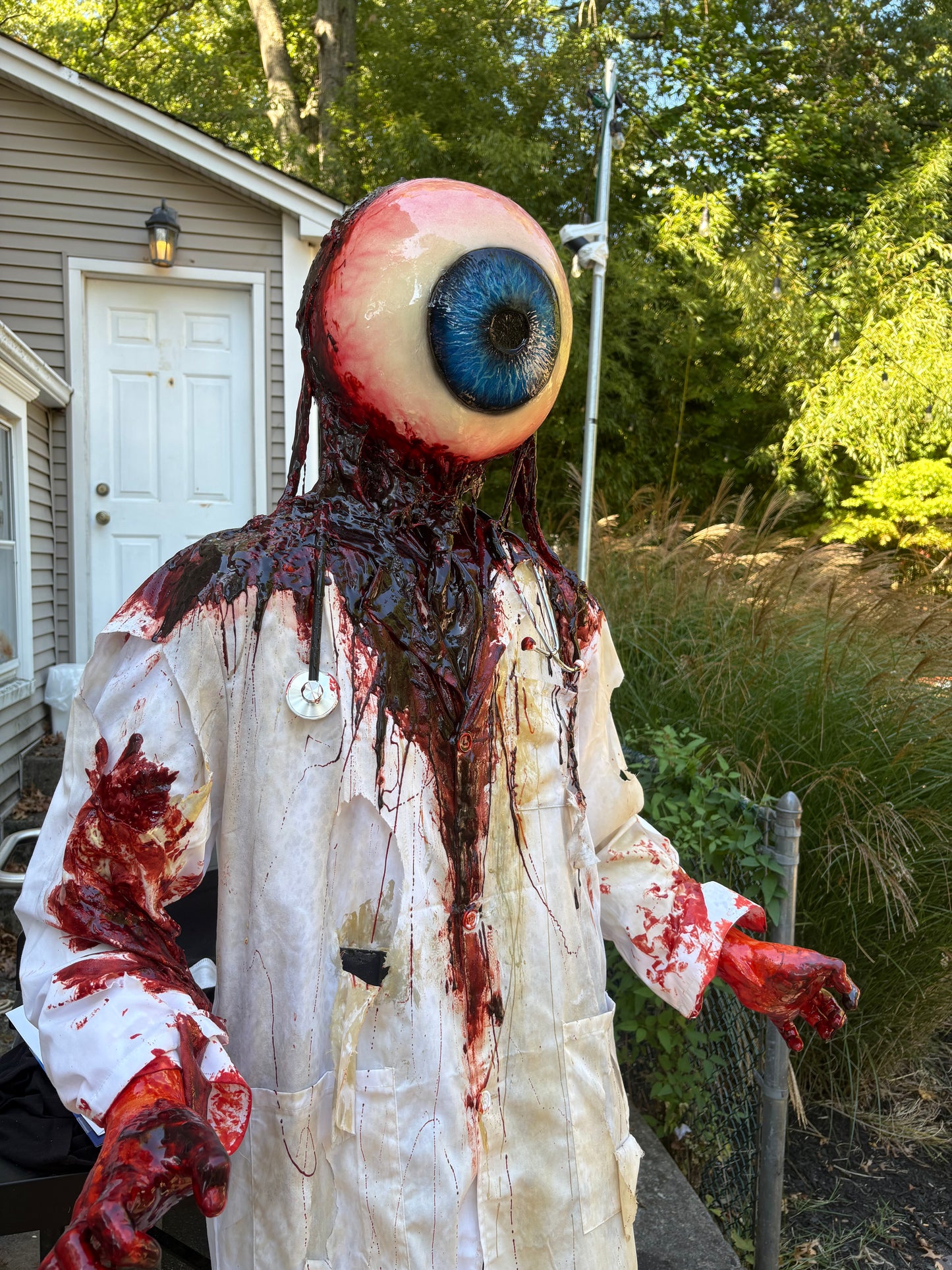 Eye Doctor