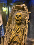 Coffin Corpse